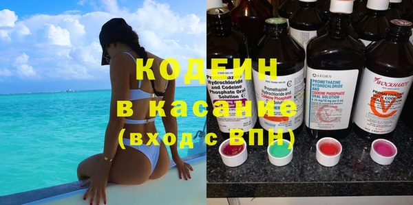 индика Сатка