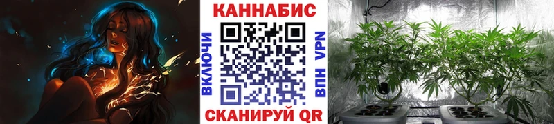 Бошки Шишки MAZAR  купить наркотик  ссылка на мегу   Миасс 